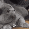 千年私服