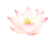 千年私服